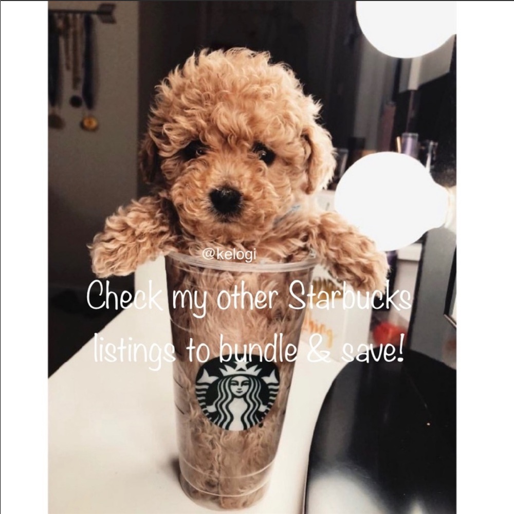 🌈LAST FEW🌈Starbucks Rainbow Iridescent Bundle - Picture 8 of 8